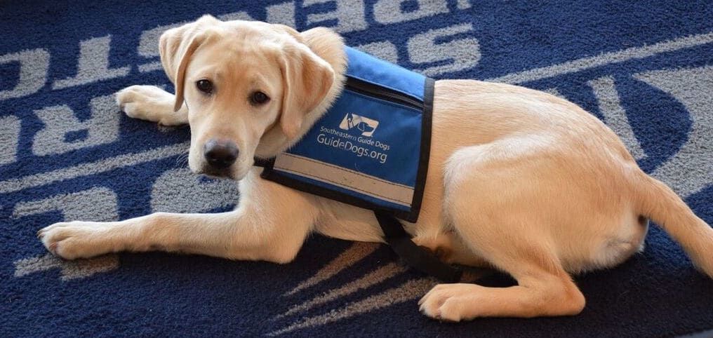 Southeastern Guide Dogs Inc