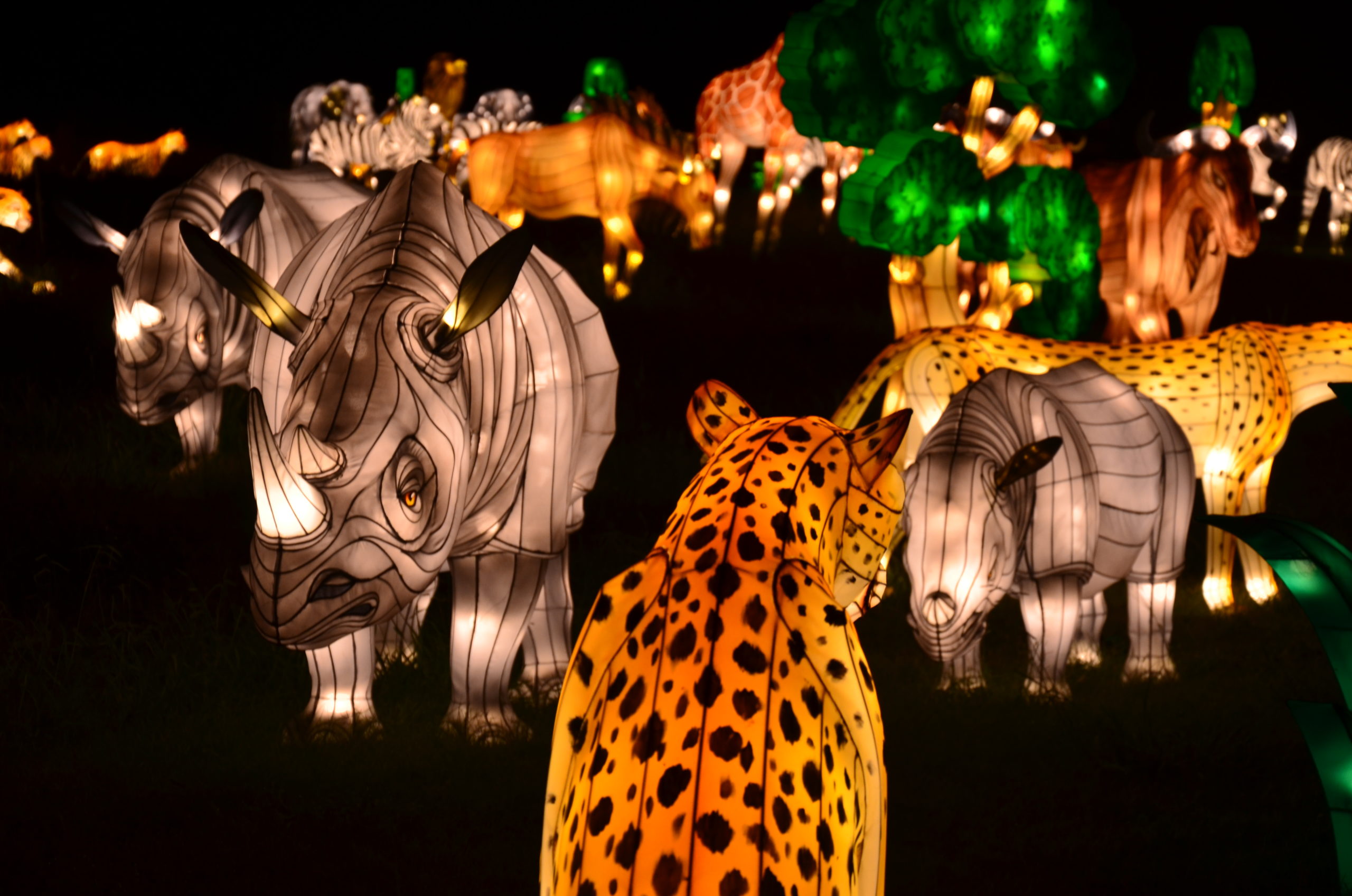 Glow Wild brings more holiday magic to Birmingham Zoo