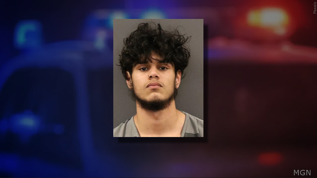 Grand Island teen charged in domestic assault