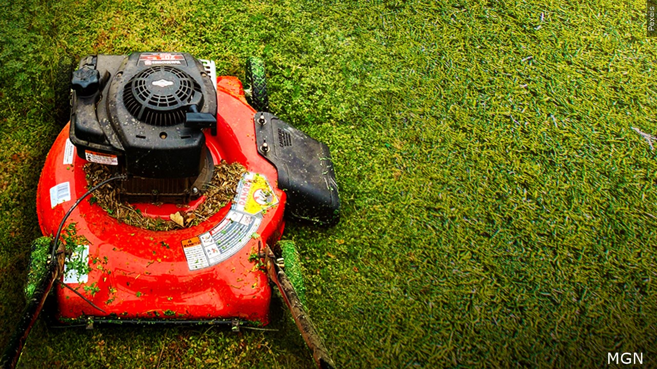 Consumer reports lawn online mowers 2021