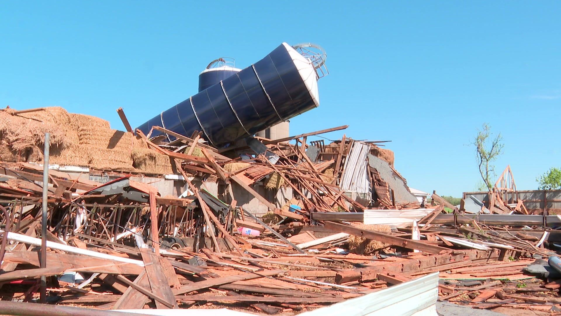 Cow survives getting impaled by lumber during tornado that 