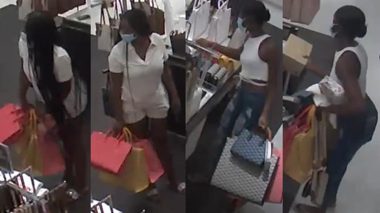 Pair accused of stealing over $4K worth of merchandise from Michael Kors in  Tanger Outlets