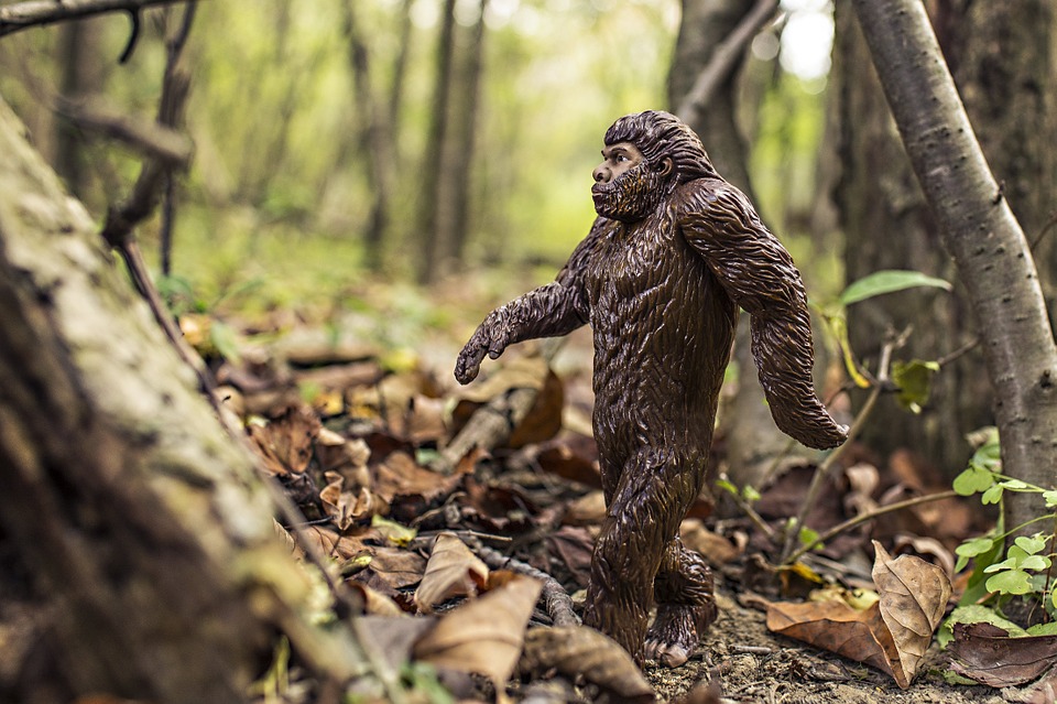 Bigfoot Encounters in Ohio: Quest for the Grassman