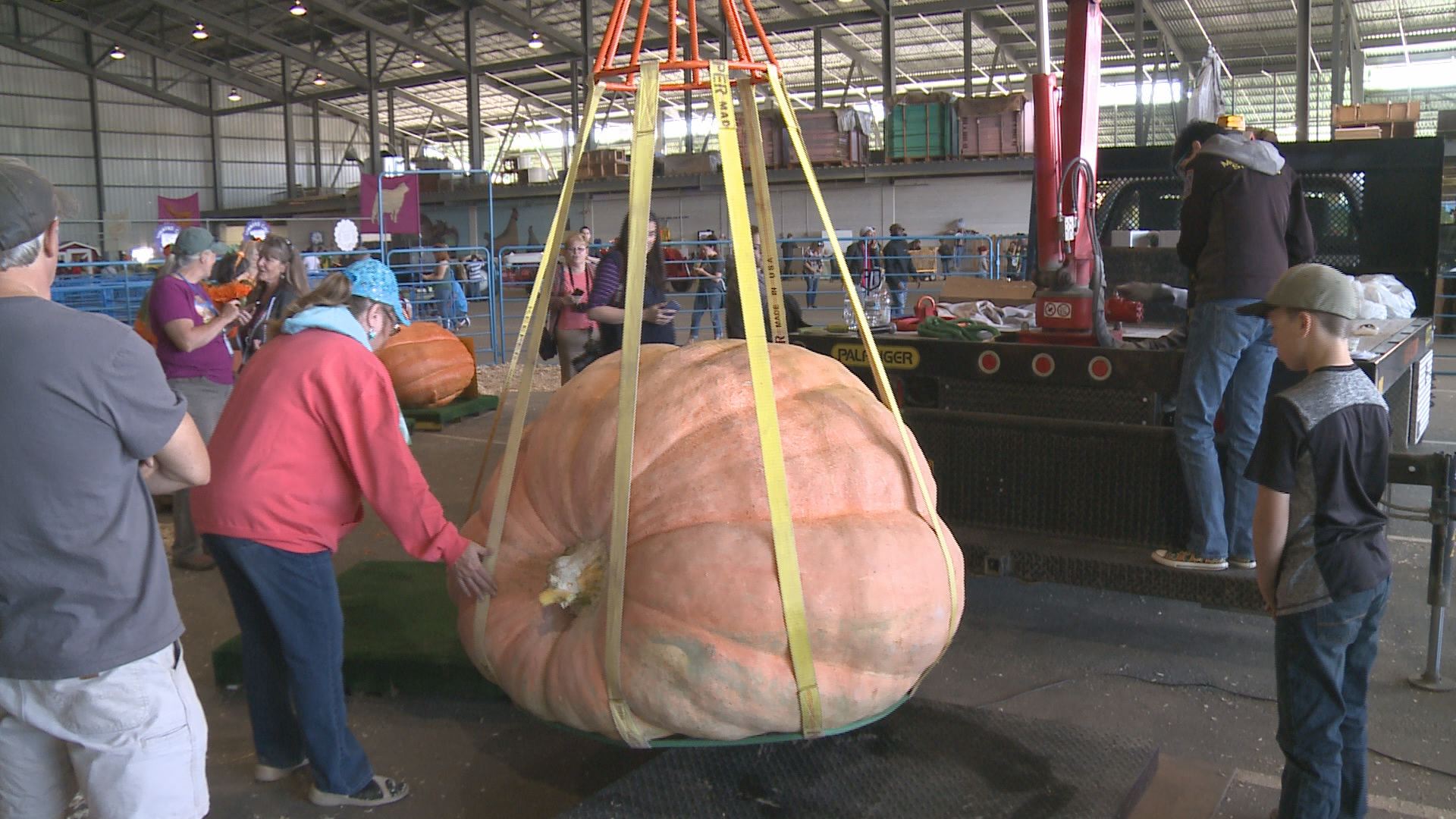 1,469-pound pumpkin breaks Alaska State Fair record