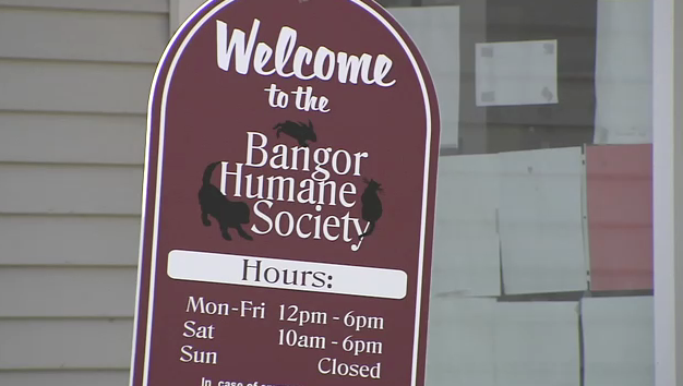 Free Adoption Saturday October 2017 At Bangor Humane Society