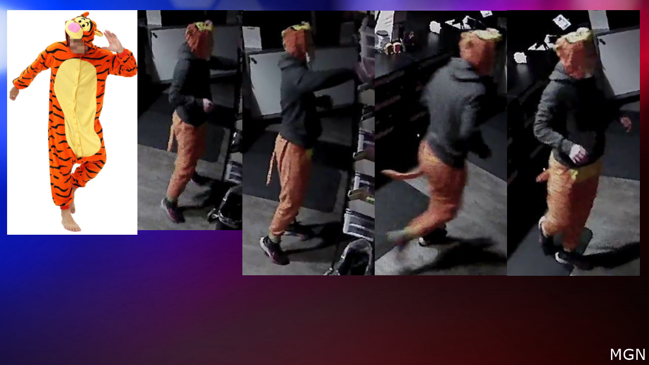 Lincoln Crime Stoppers: Person wearing Tigger costume robs vape shop