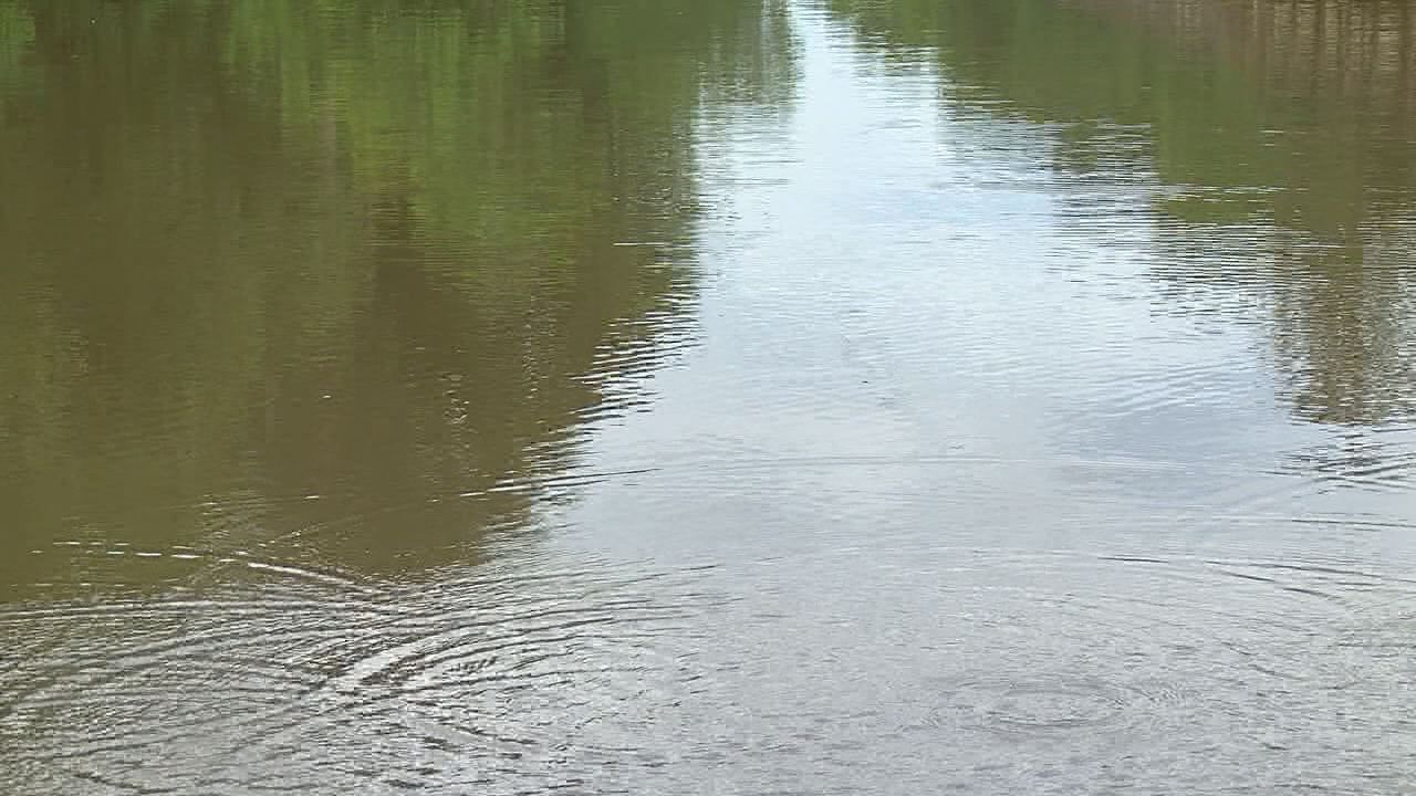 Jasper County game warden's wife drowns after lawn mowing accident