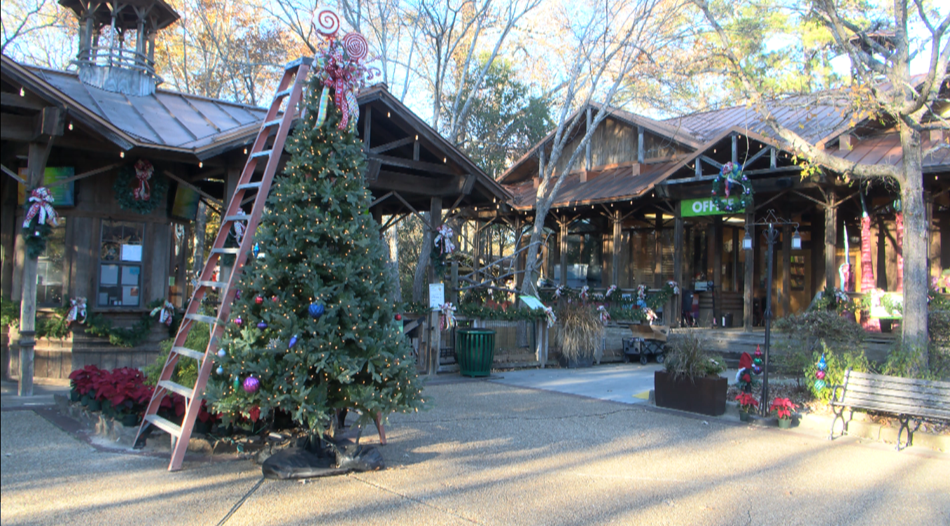 christmas lights biloxi ms