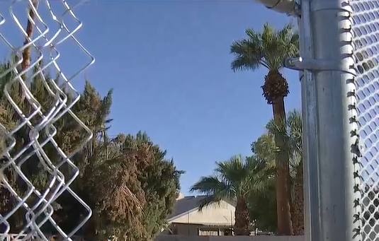 Flood Channel Fences Near Harmon and McLeod Were Cut Open Again Within a Day of Being Fixed