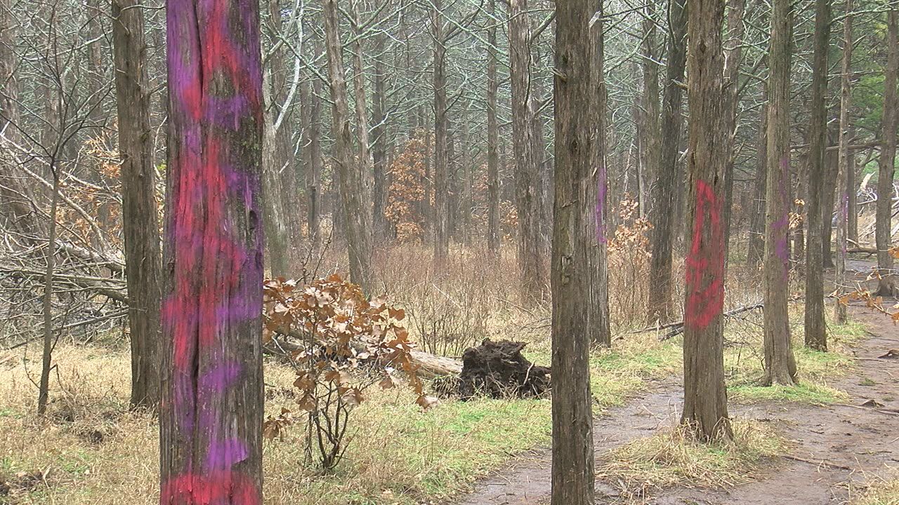 Graffiti found at Wichita Mountains Wildlife Refuge