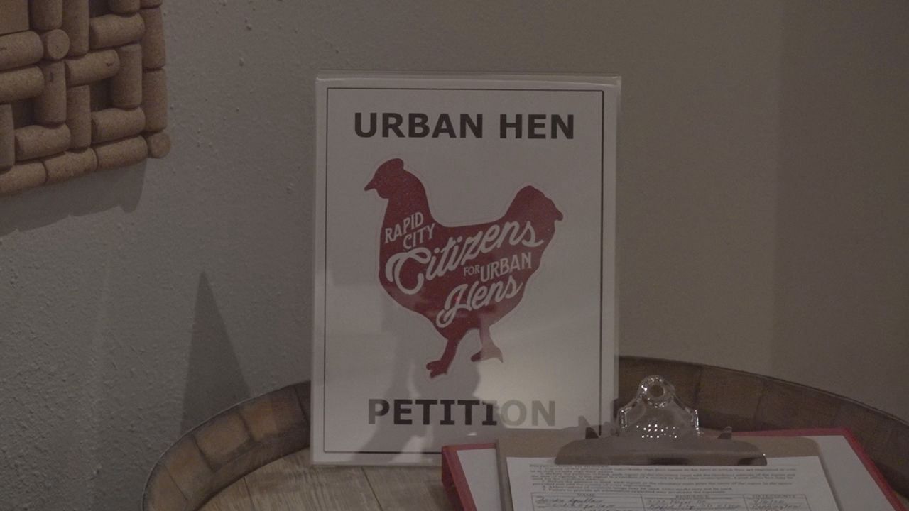 Group continues advocacy for backyard hens in Rapid City