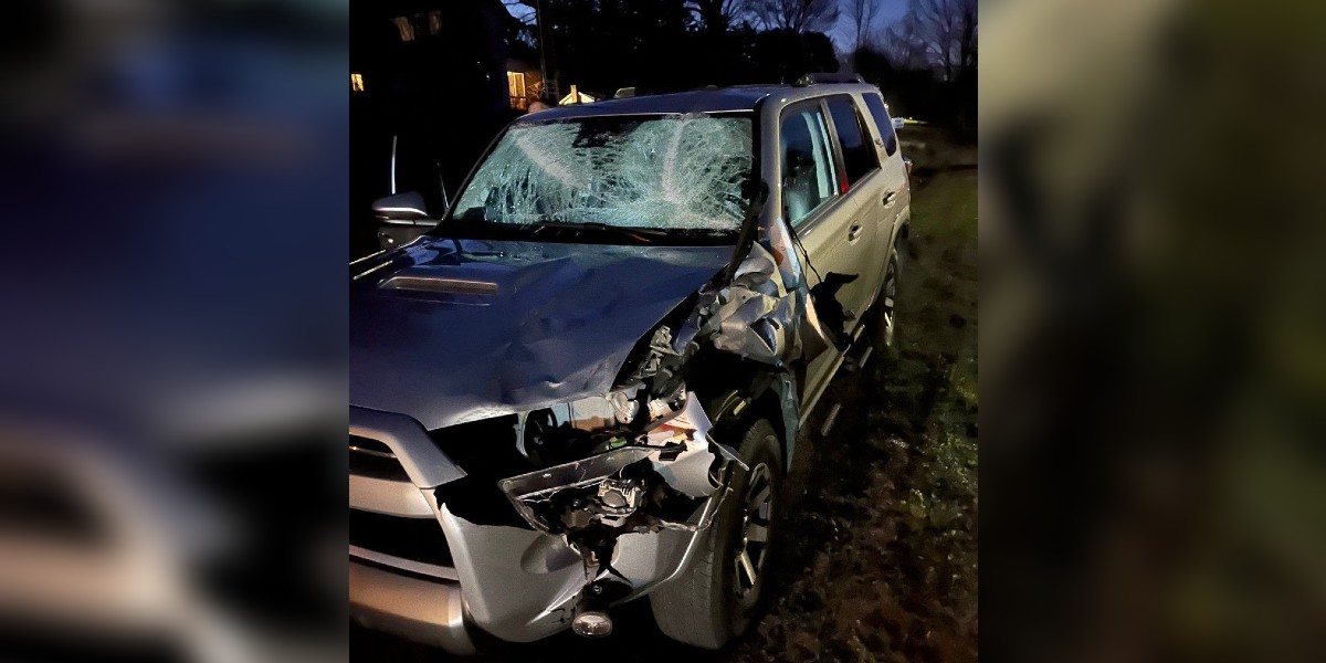 Technology news and reviews image