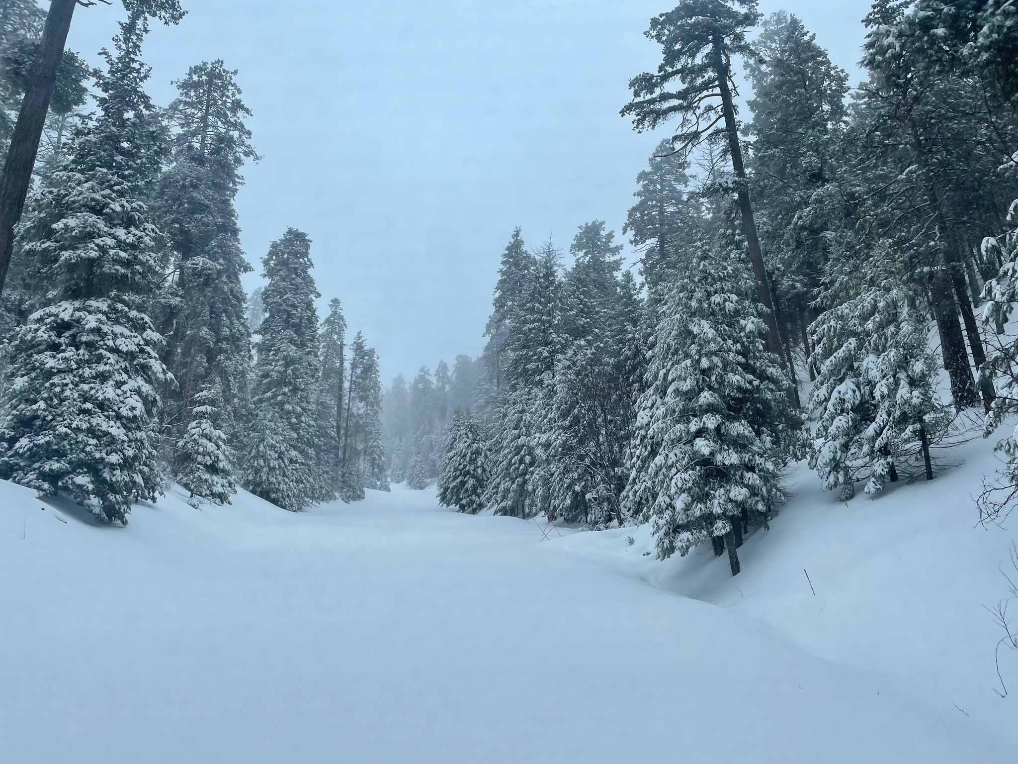 Mount Lemmon businesses booming after nearly 100 inches of snowfall