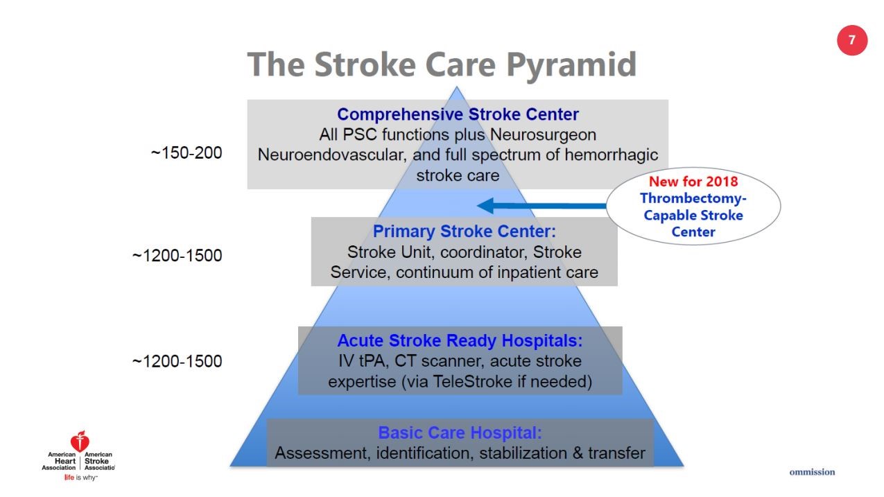 Stroke Information - LAMC Stroke Center