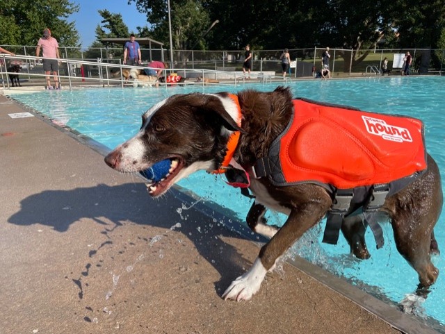 Outward Hound Dawson Swim (Red)