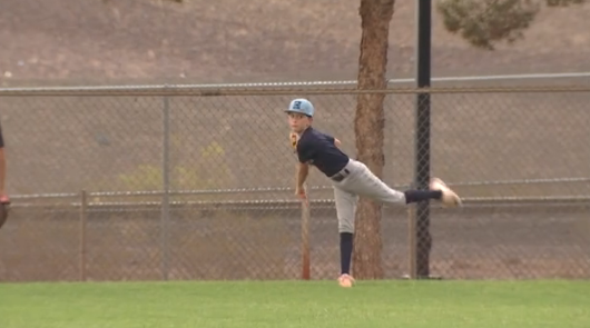 Raiders make donation to Henderson Little League team