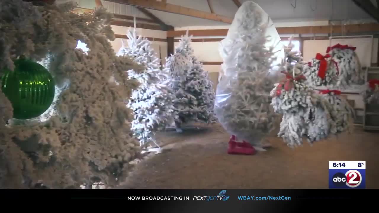 SMALL TOWNS: 83-year-old keeps Christmas tree tradition alive