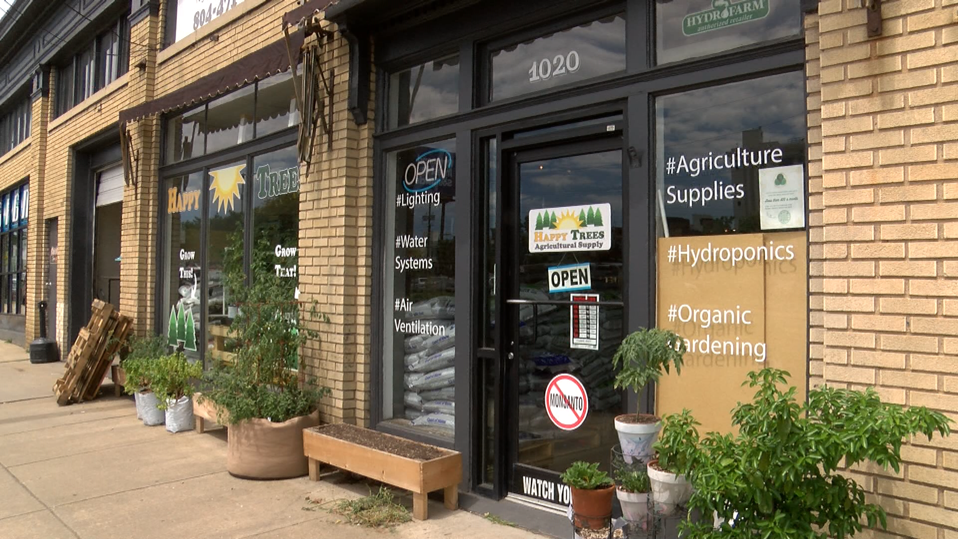 grow lights peterborough