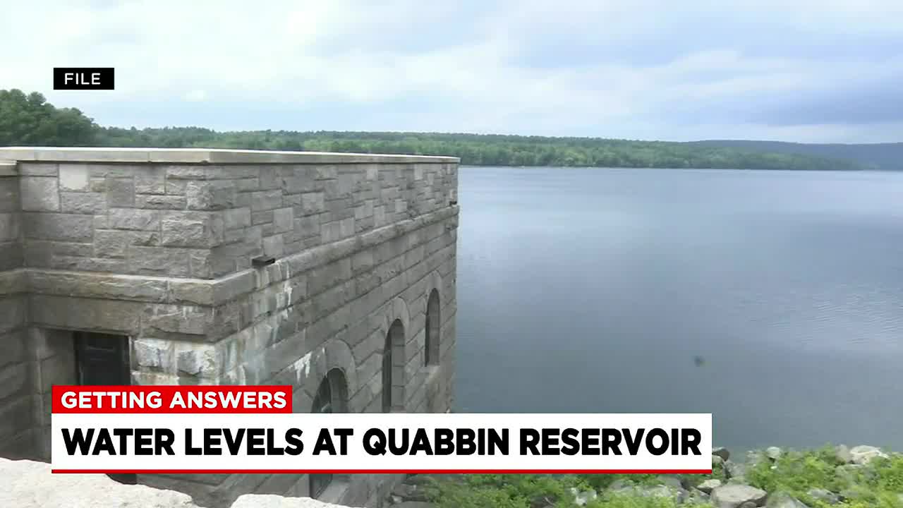 Are Dogs Allowed At The Quabbin Reservoir