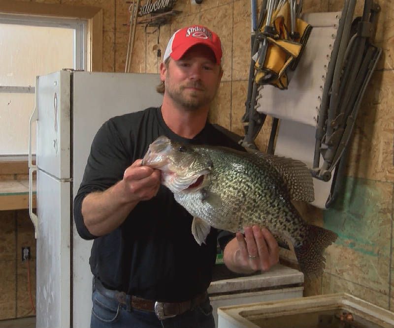 IL state record crappie caught at Kinkaid Lake
