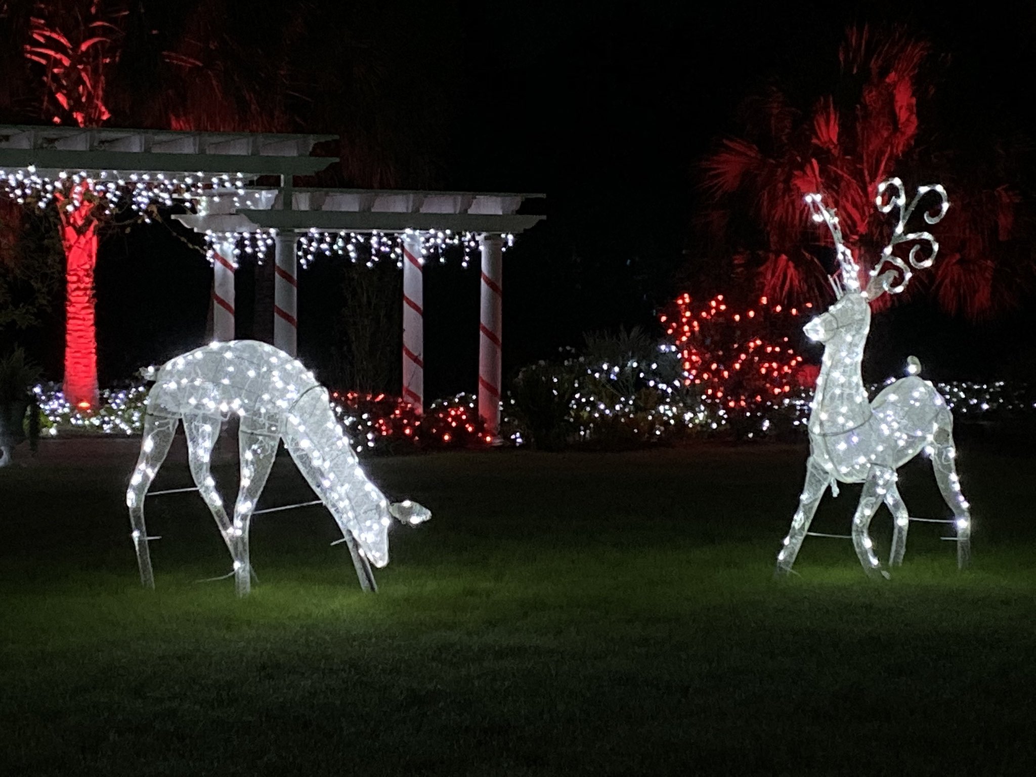Coastal Botanical Gardens Savannah Christmas Lights Fasci Garden