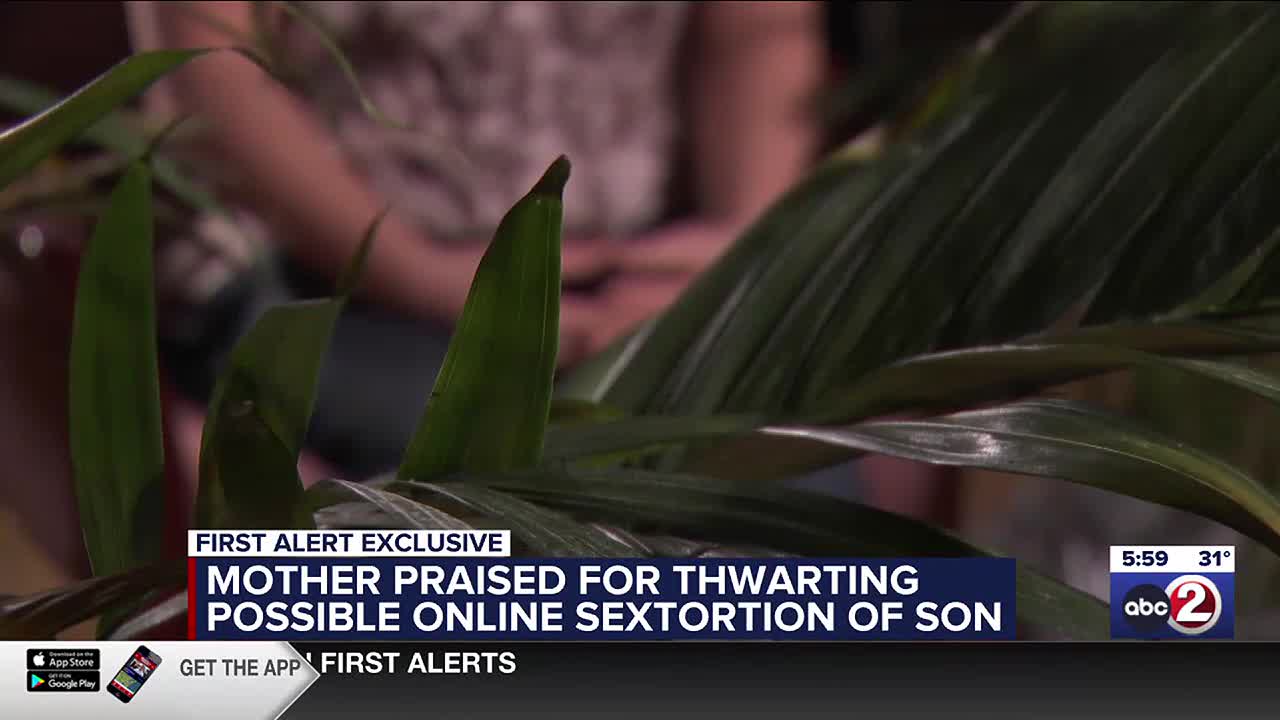 Mother praised for stopping possible thwarted sextortion case in Brown  County