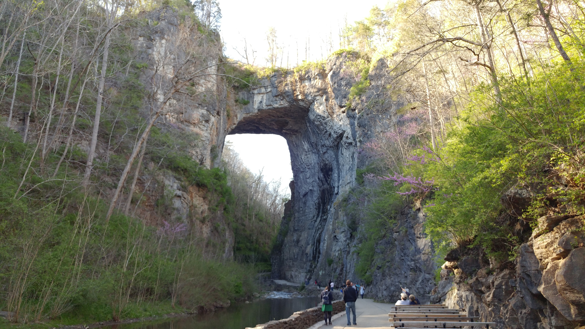 are dogs allowed in natural bridge state park va