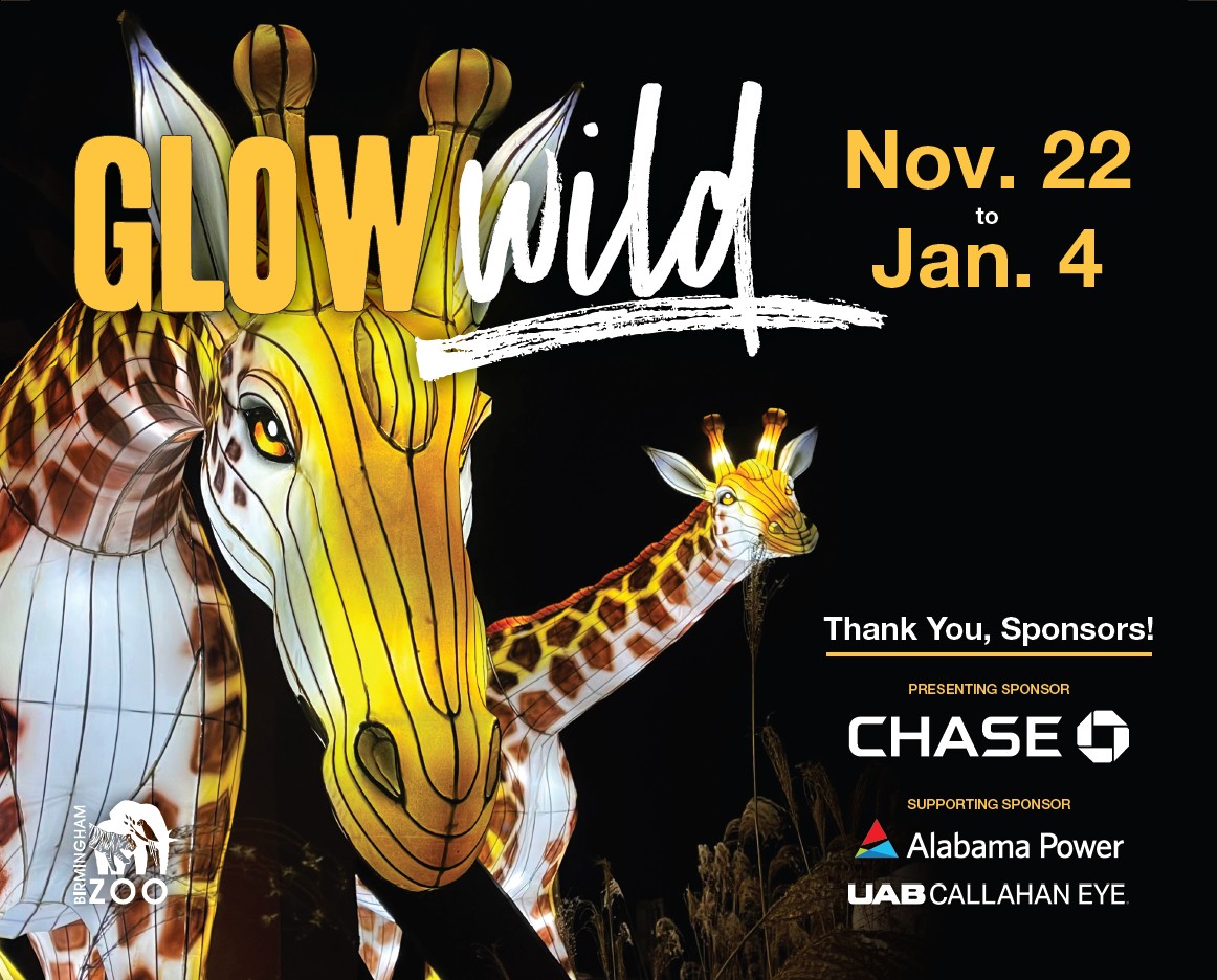 Glow Wild brings more holiday magic to Birmingham Zoo