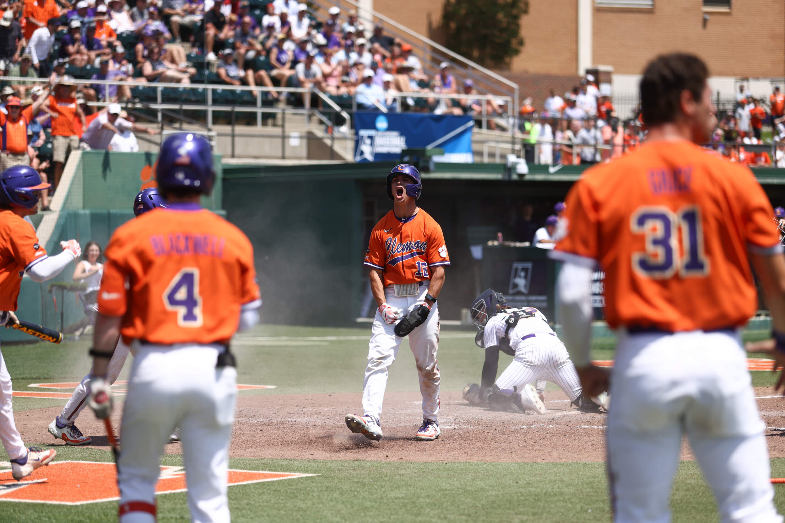 Charlotte baseball vs Lipscomb college baseball regional game