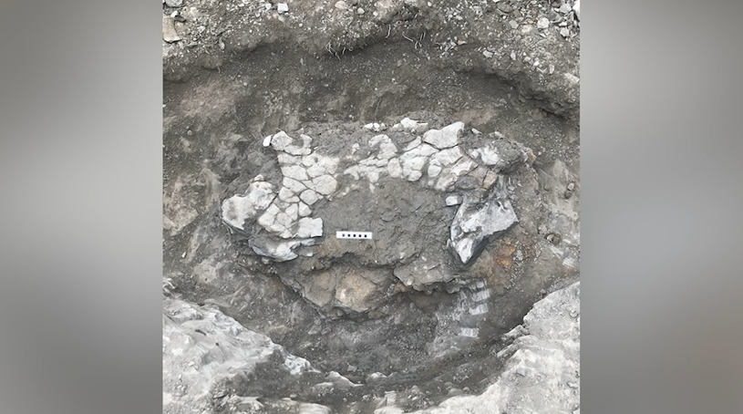 【甘い人生】SEEALL RECONSTRUCTED TRENCH 甘い人生】SEEALL RECONSTRUCTED TRENCH 甘い人生】SEEALL