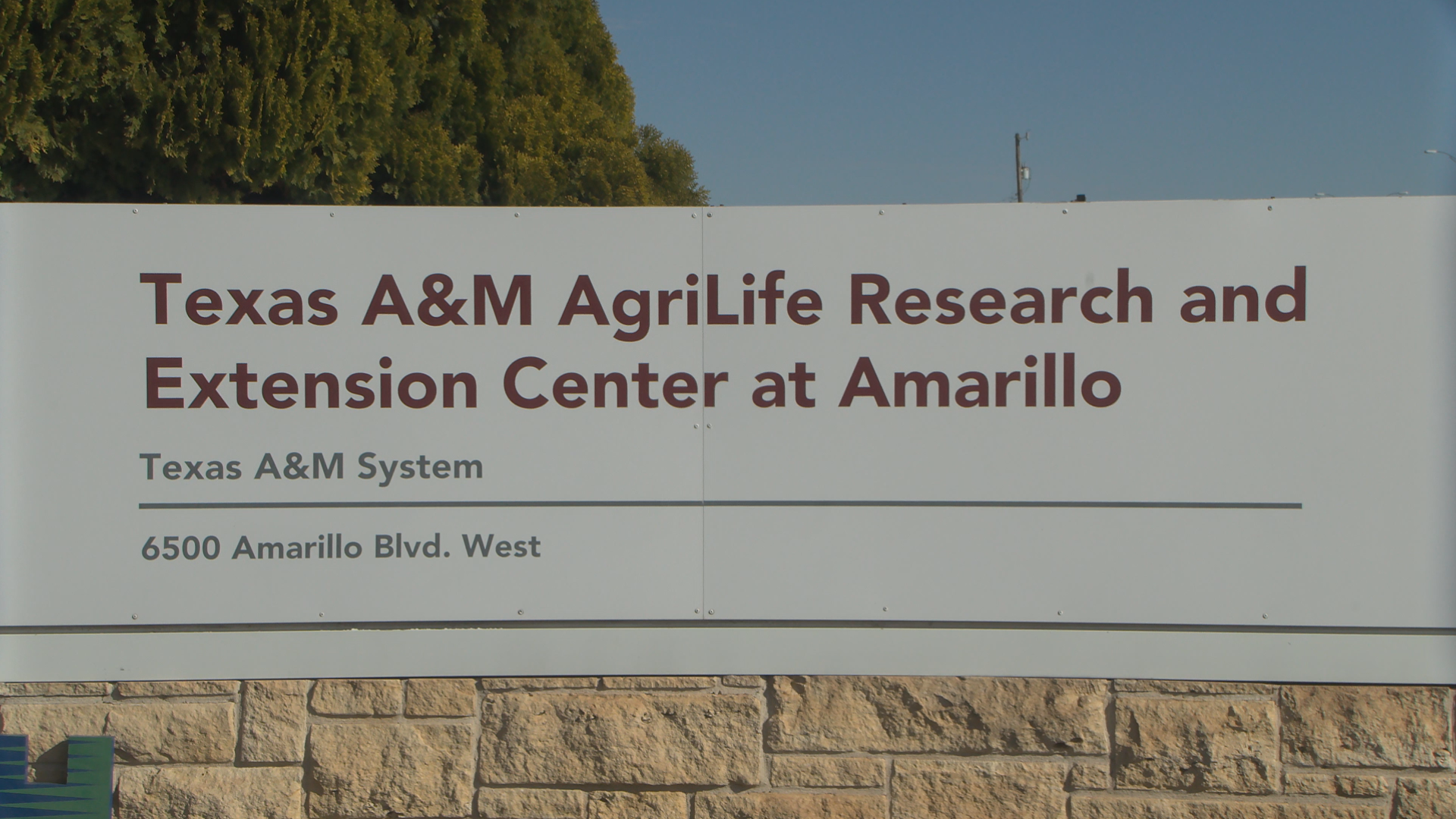 Texas 4-H Goats Project - Texas A&M Agrilife Extension Service