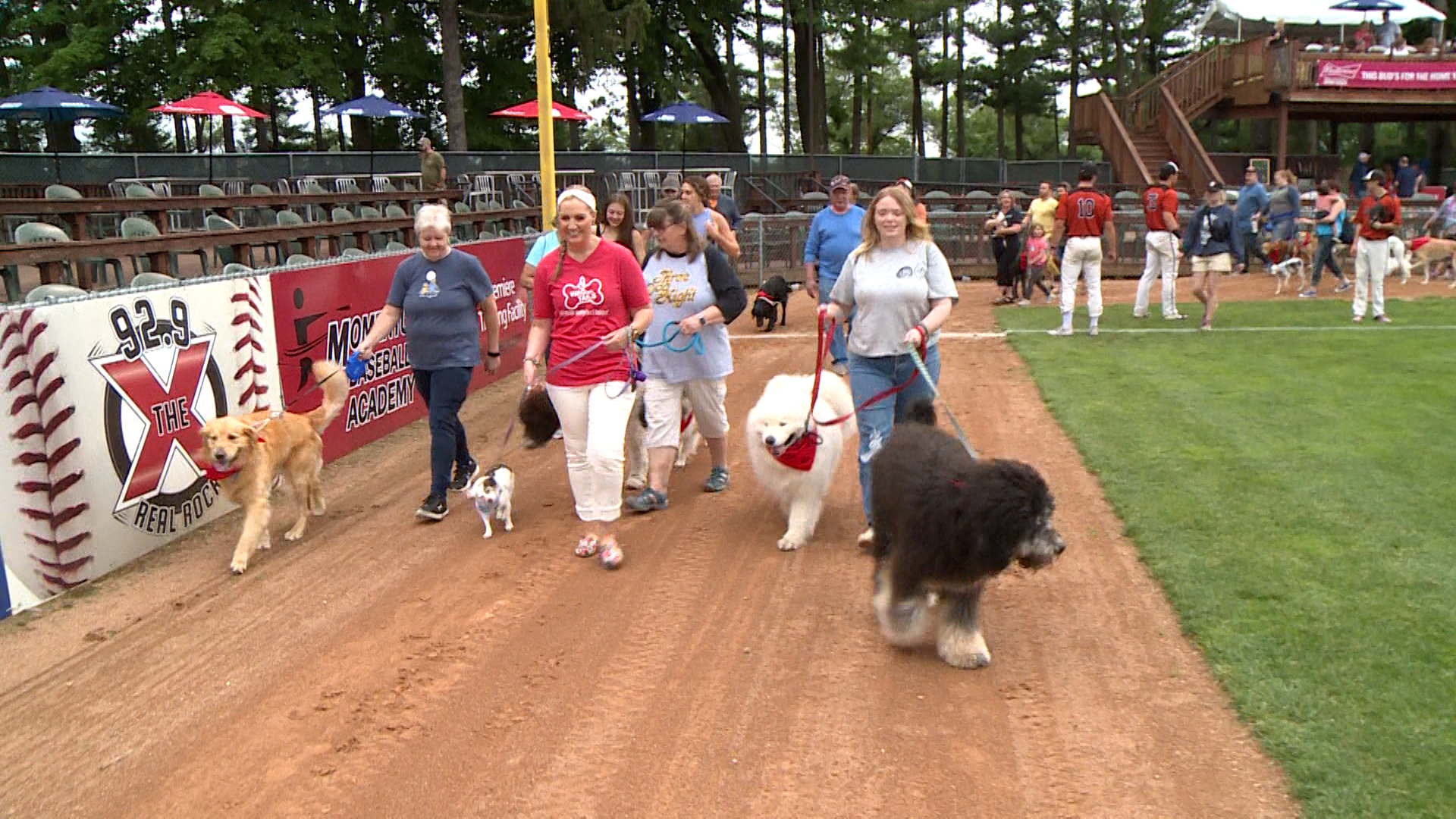 Texas Rangers Bark at the Park is Next Saturday