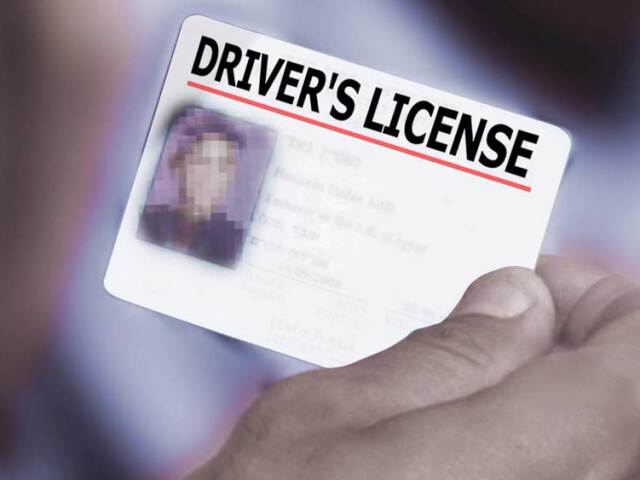 FloridaDaily.com on X: Florida Drivers Licenses for Illegal