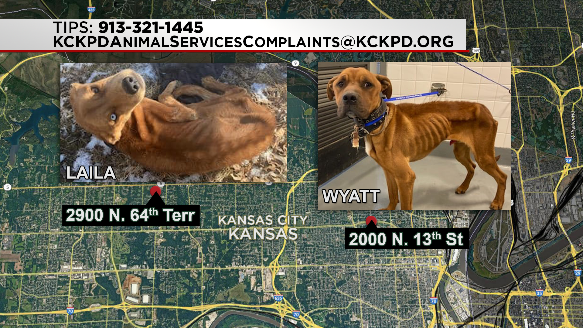KCK police search for suspects in animal cruelty cases