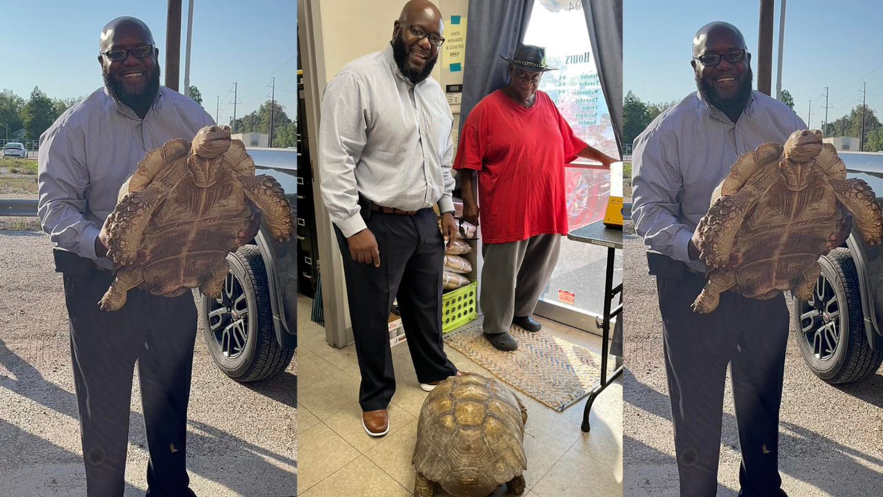 100-year-old tortoise named Biscuit reunited with family