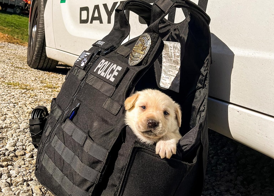 Police cat is the cutest recruit at this police department