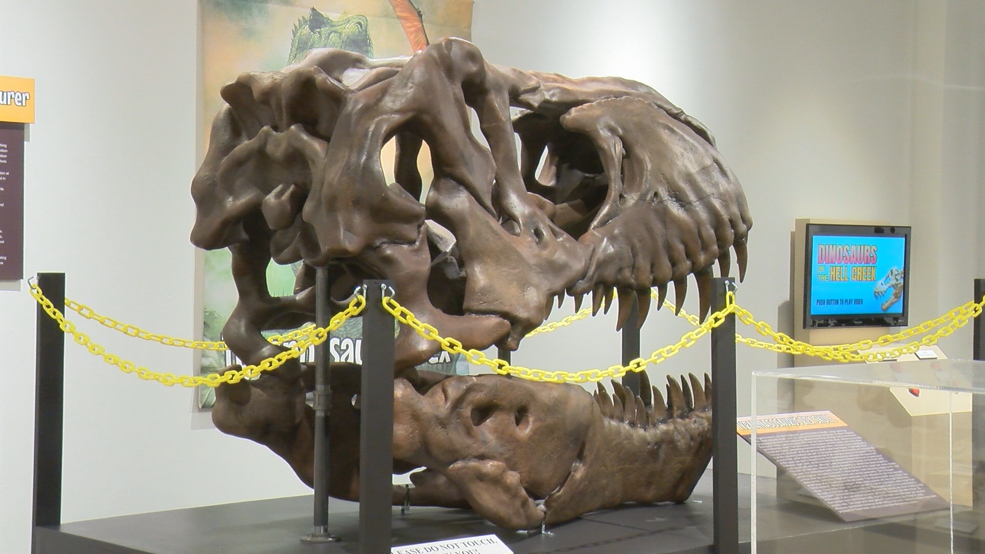 Sioux City Public Museum unveils new dinosaur exhibit