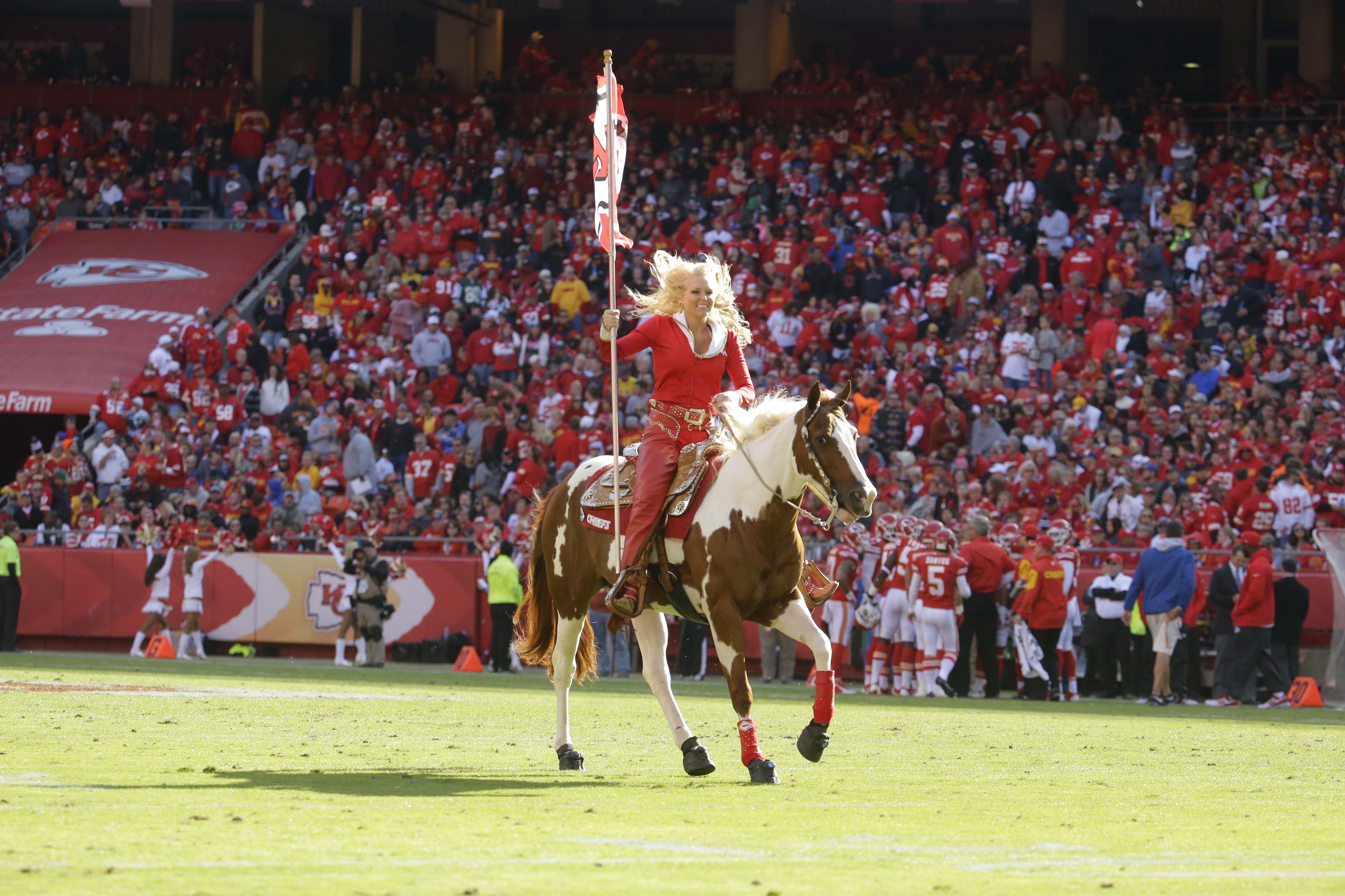 Pinto horse Warpaint retiring from Chiefs football games