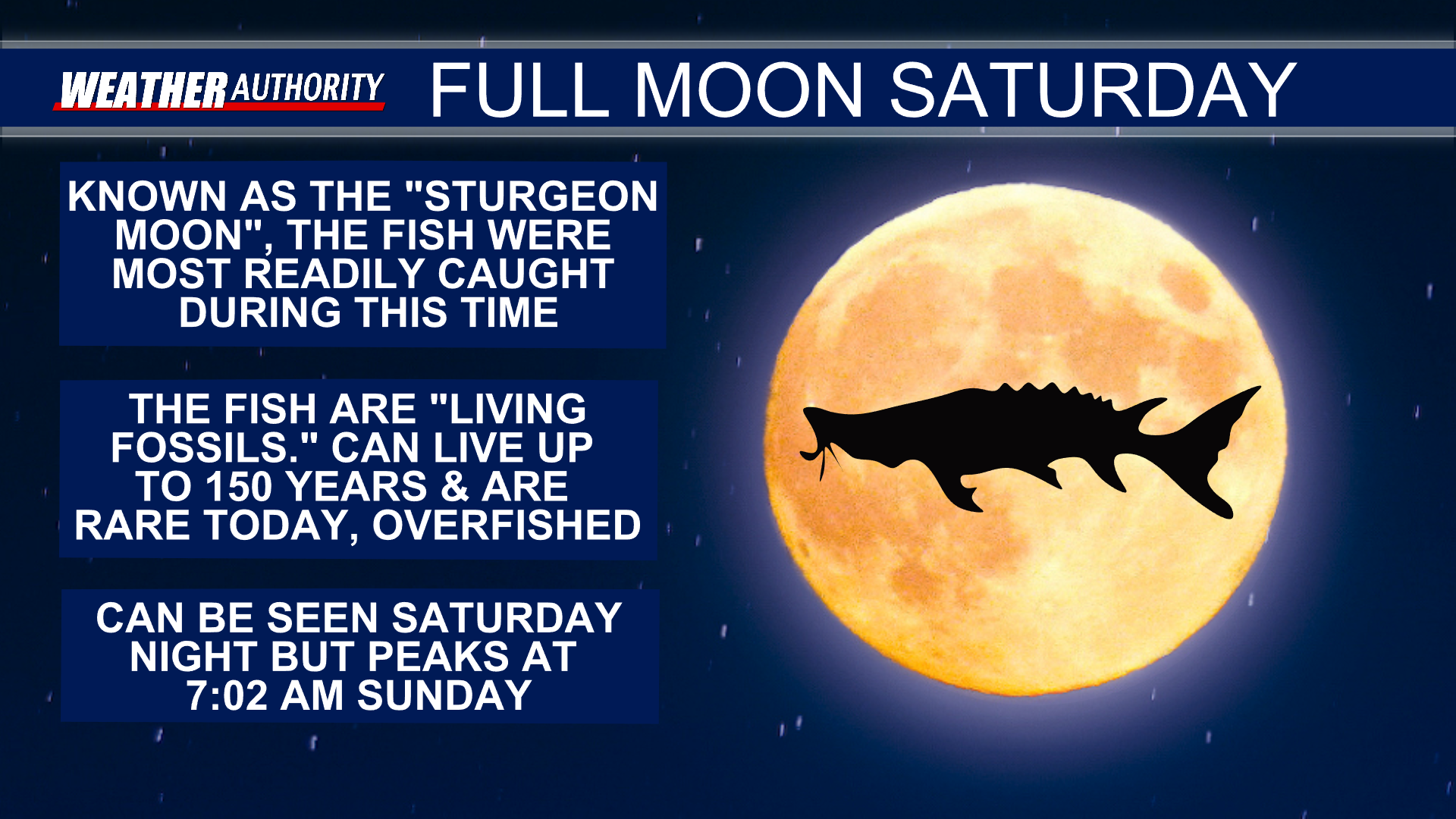 The Sturgeon Moon Will Peak August 22