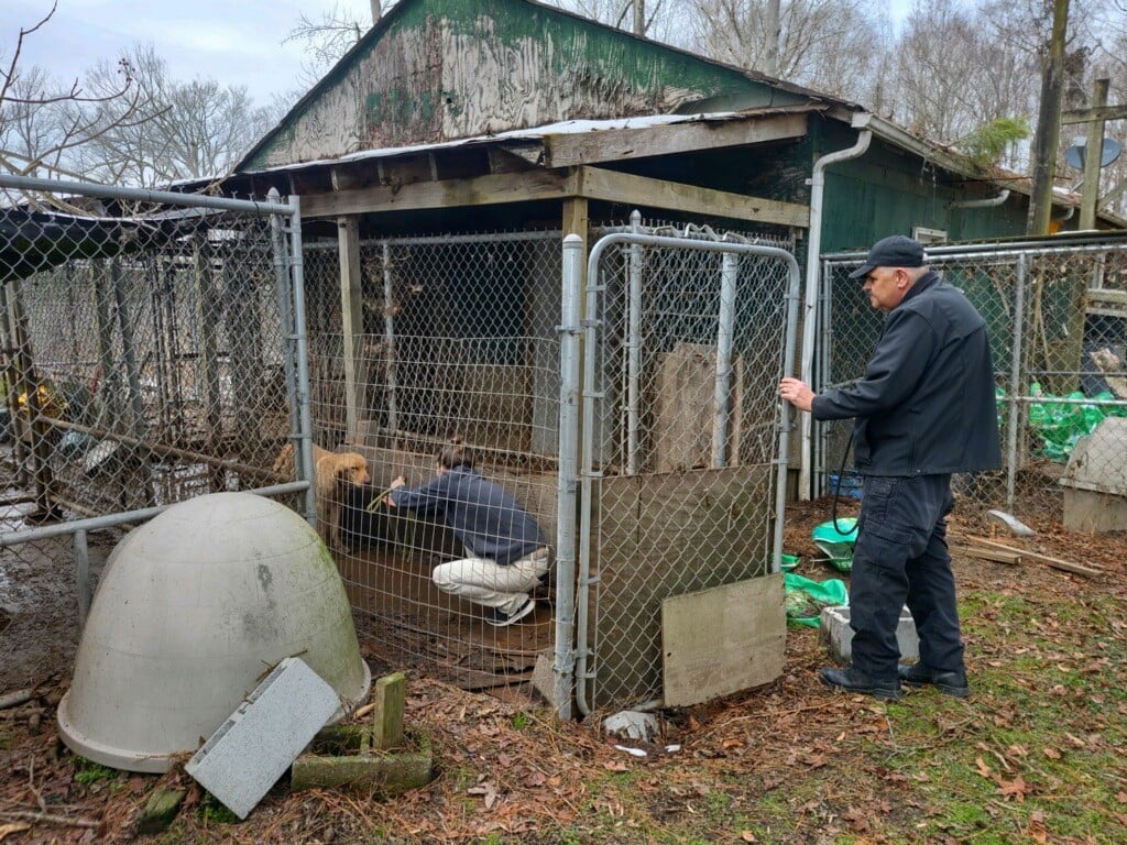 Eddie is an a**hole': Dog finds new owner after shelter challenges