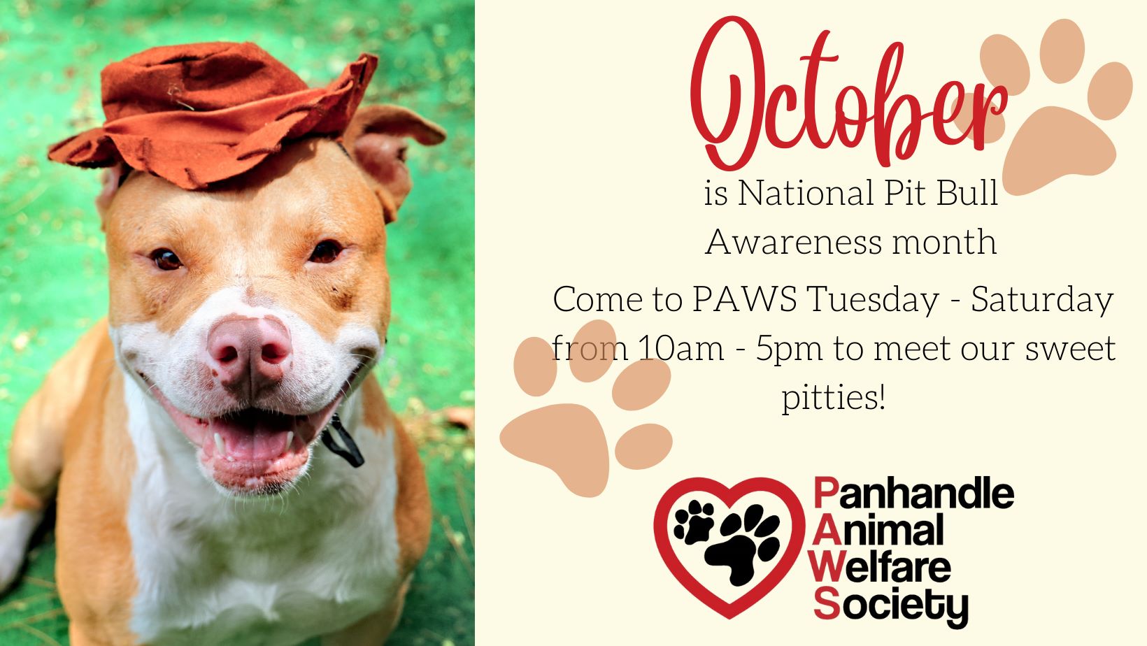 Team Pit-a-Full - National Pit Bull Awareness Month