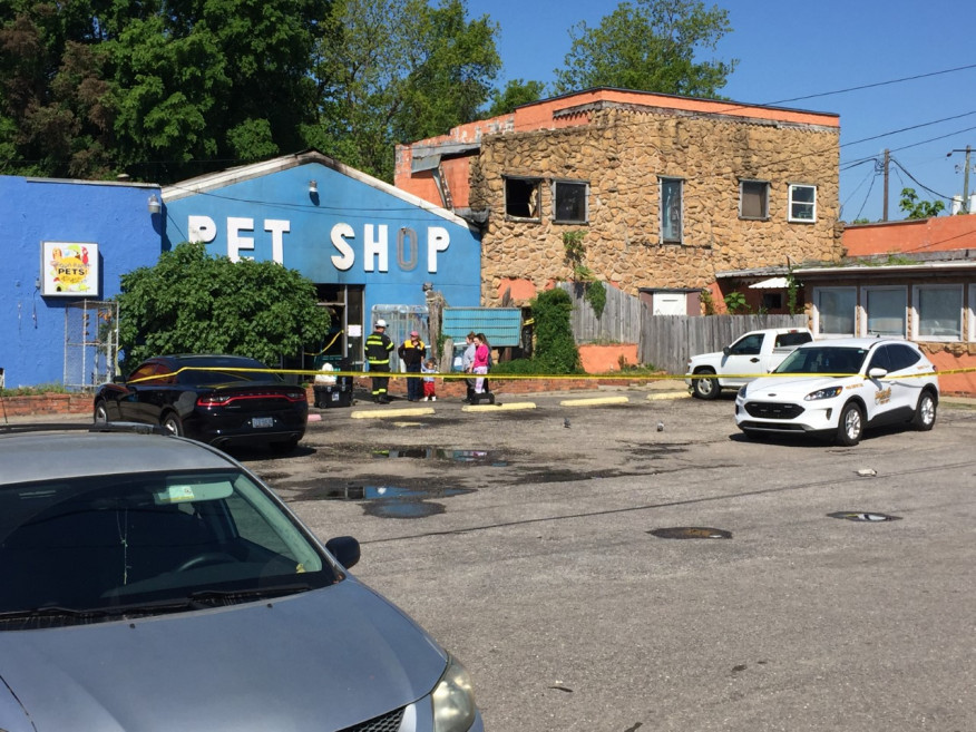 Multiple animals killed in Fayetteville pet shop fire officials say