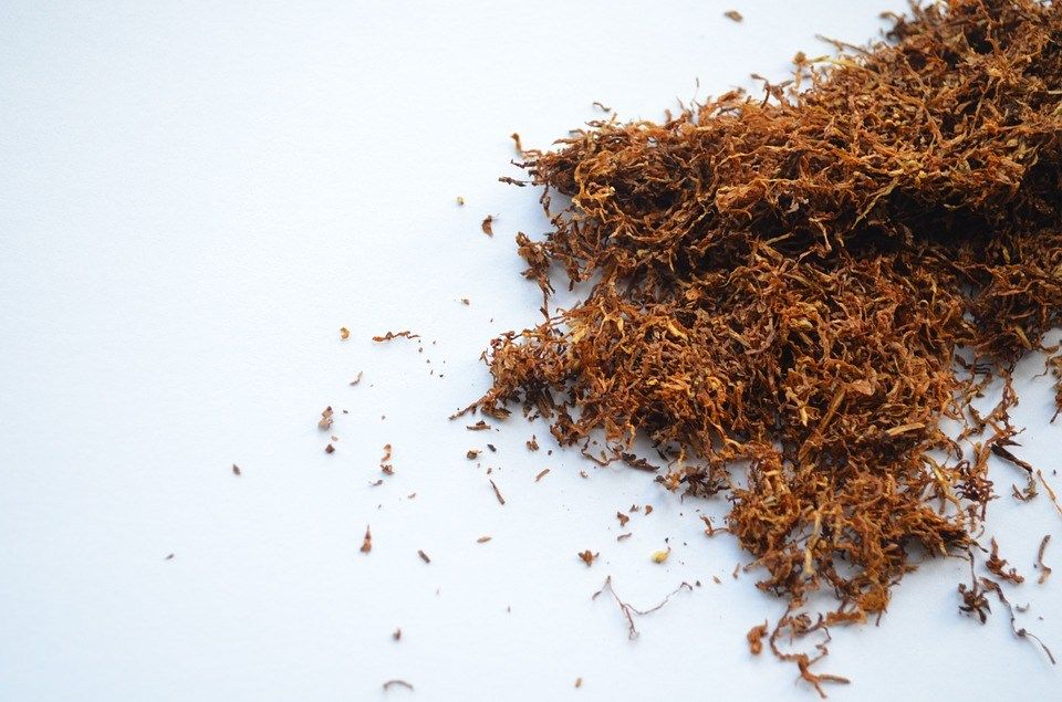 filter tips for rolling tobacco rolling tobacco filter tips 150pc Orange Pre-rolled Rolling Tips, Filter  Tips, 7mm
