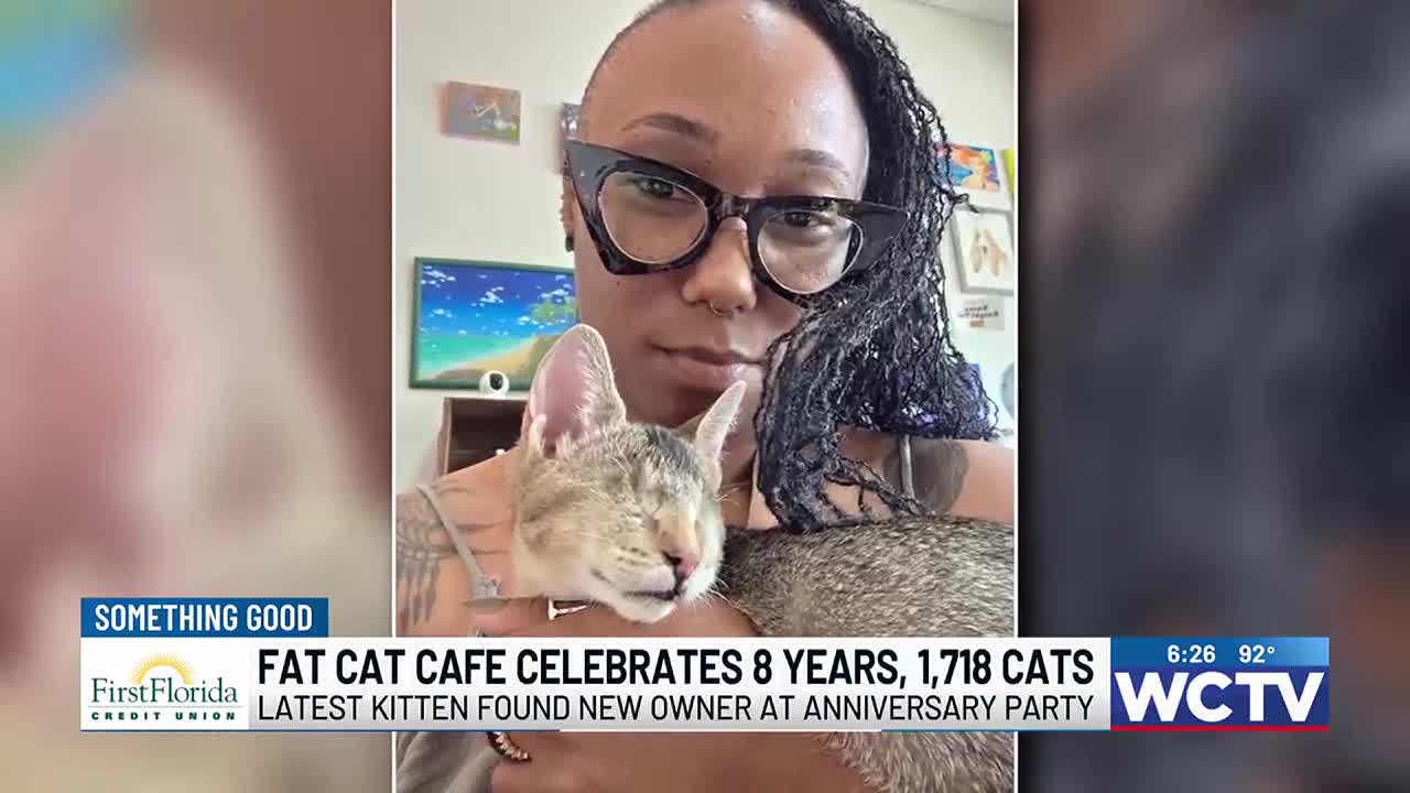 Something Good: Tallahassee's Fat Cat Cafe celebrates 8 years in