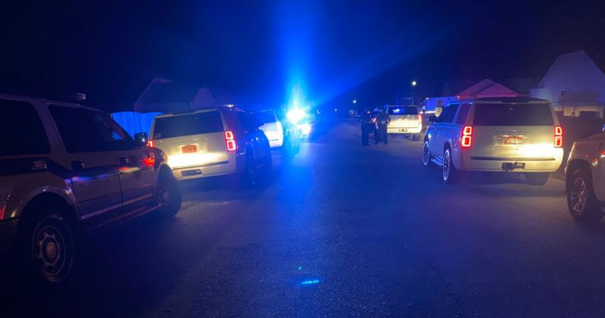 A tragic accident': Infant killed by family dogs in Johnston County