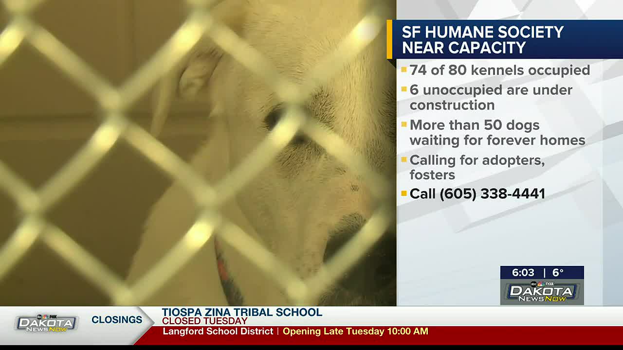 Sf 2024 humane society