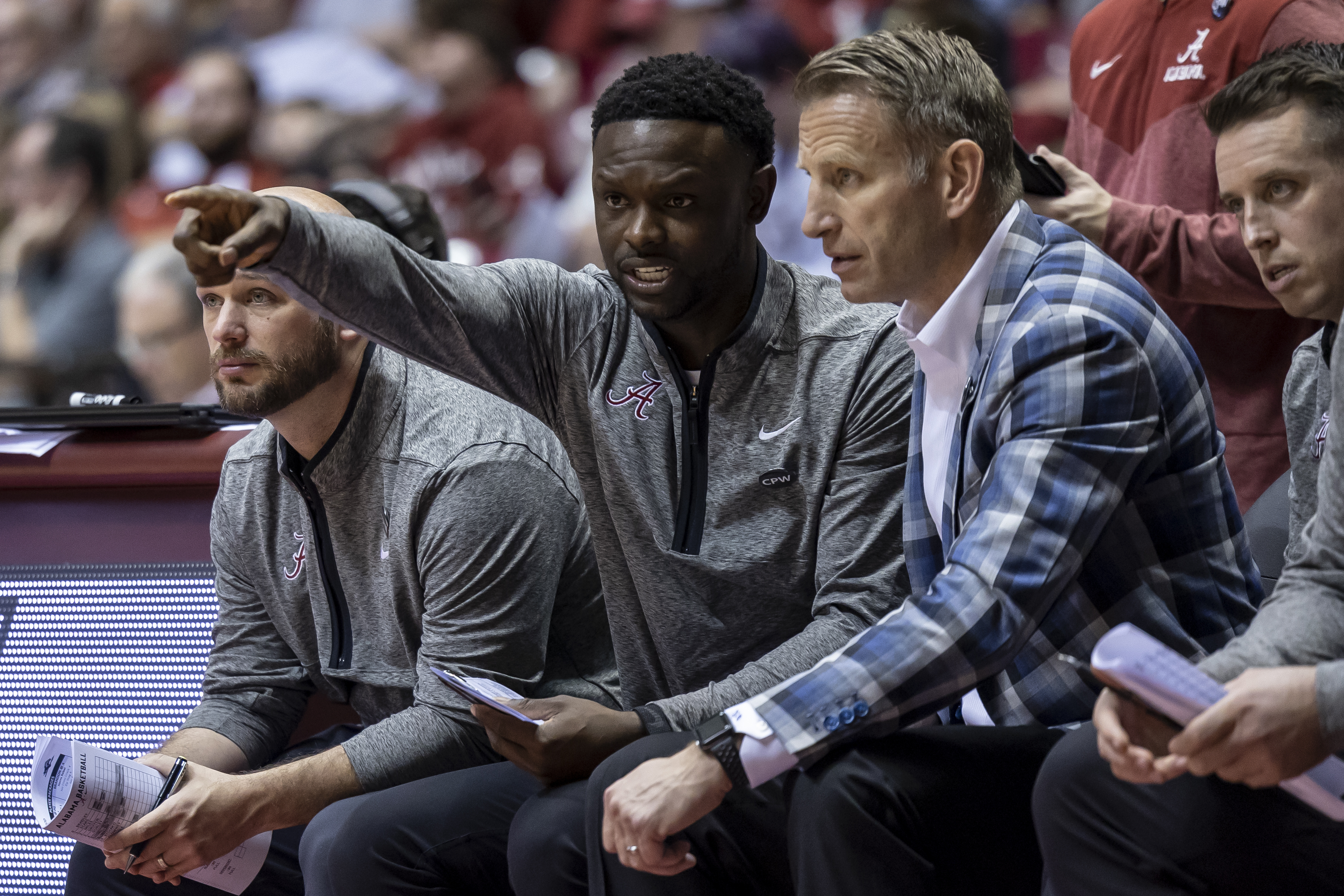 Kennesaw State University Basketball Coach: A Journey Through Excellence