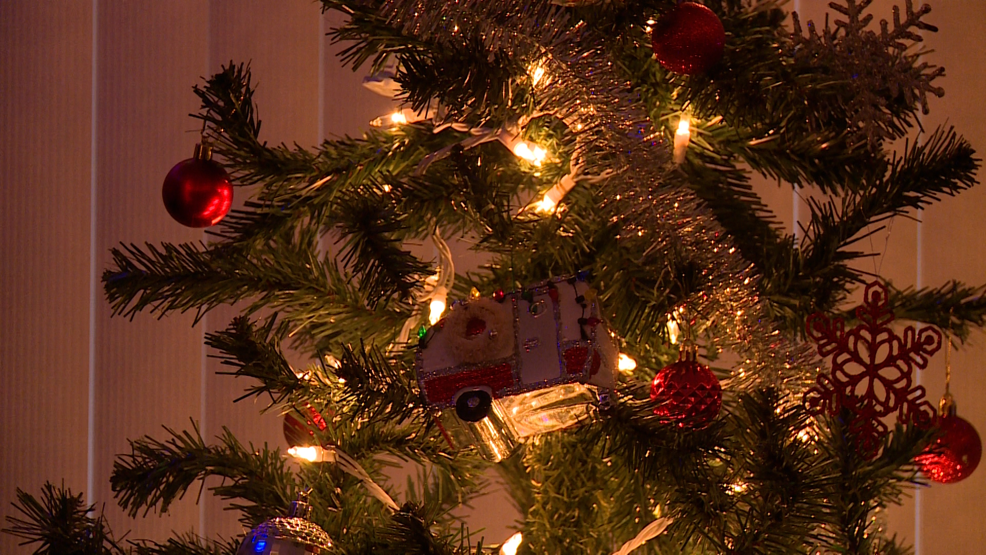 Here's where you can recycle your Christmas tree in Nashville