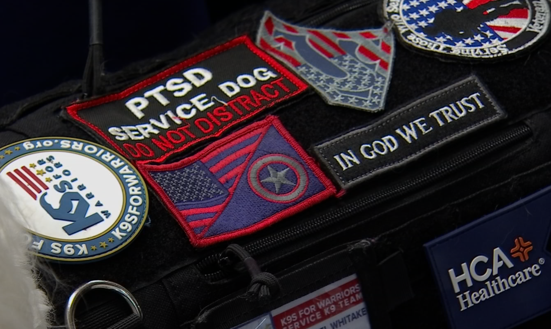 HCA Nashville and K-9s For Warriors name service dog for veteran