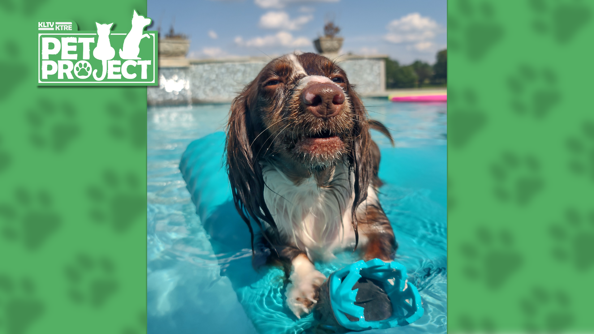 East Texans share photos of their beloved dogs for National Dog